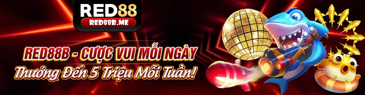 Hình ảnh chính sách quyền riêng tư new88bet app